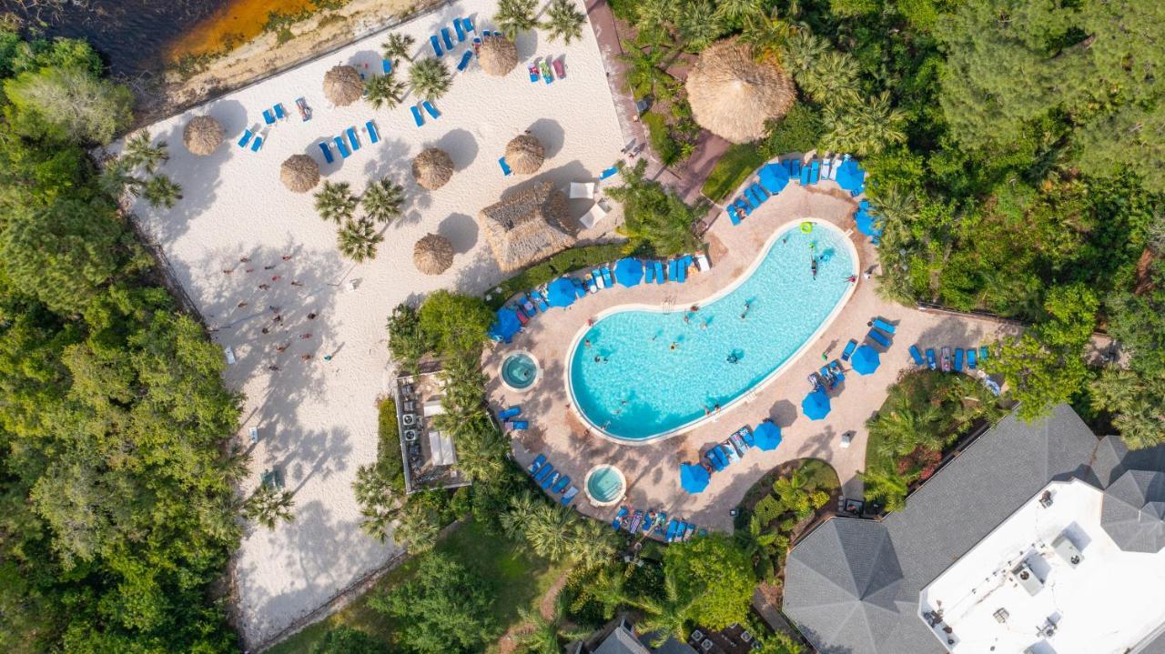 Cristina'S Tropical Villa/ Just Minutes From Disney! Киссимми Экстерьер фото